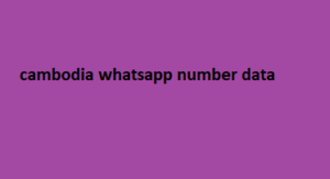 cambodia whatsapp number data