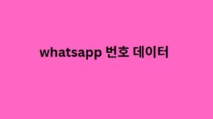 whatsapp 번호 데이터