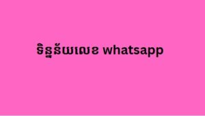 ទិន្នន័យលេខ whatsapp